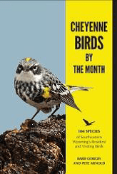 Birds of the Month